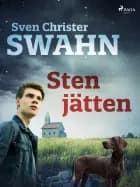 Stenjätten af Sven Christer Swahn