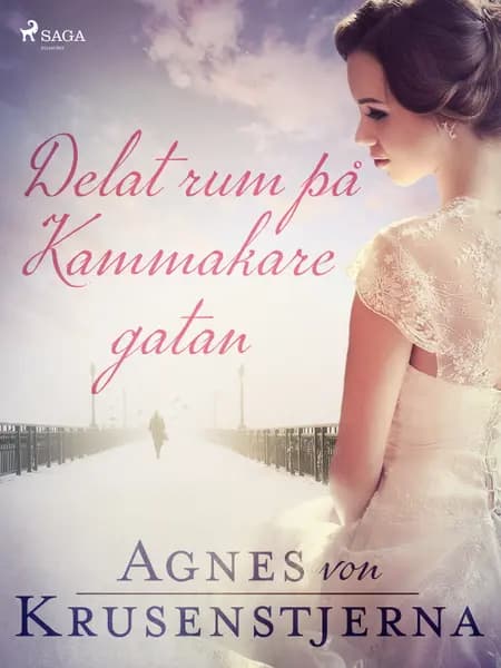Delat rum på Kammakaregatan af Agnes Von Krusenstjerna