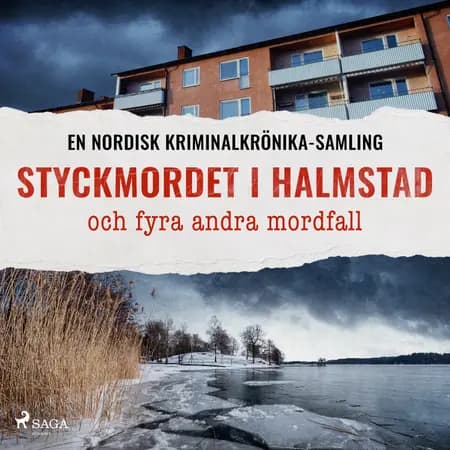 Styckmordet i Halmstad och fyra andra mordfall af Diverse