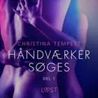 Håndværker søges, del 1 - Erotisk novelle