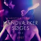 Håndværker søges, del 2 - Erotisk novelle