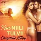 Kun Niili tulvii - eroottinen novelli