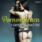 Pornostjernen - erotisk novelle