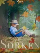 Sorken af Anna Kajsa Hallgard