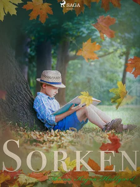 Sorken af Anna Kajsa Hallgard