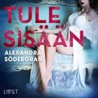 Tule sisään - eroottinen novelli