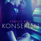 Konserten - erotisk novell