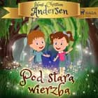 Pod starą wierzbą af H.C. Andersen