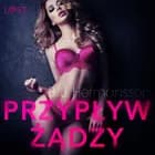 Przypływ żądzy - opowiadanie erotyczne af B. J. Hermansson