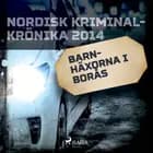 Barnhäxorna i Borås 