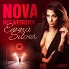 Nova 1: Het weerzien - erotisch verhaal af Emma Silver