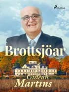 Brottsjöar