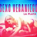 Sexo veraniego 2: La playa - Relato erótico