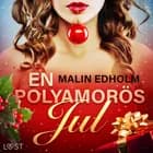 En polyamorös jul - erotisk julnovell af Malin Edholm