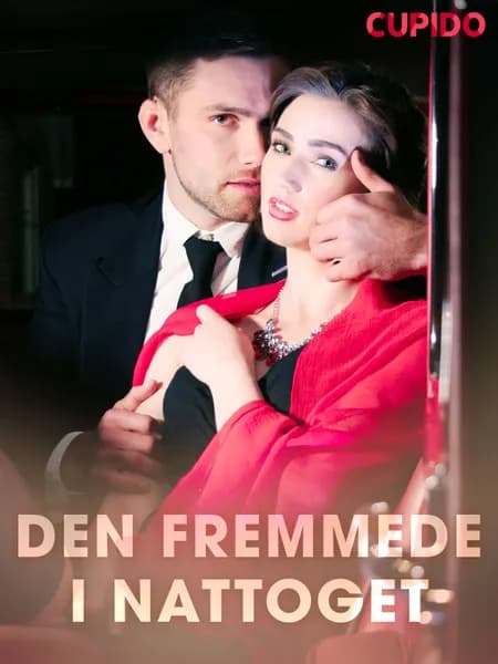 Den fremmede i nattoget af Cupido