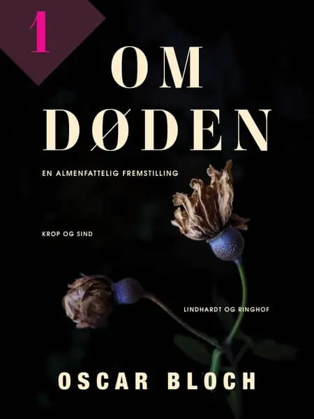 Om døden. Bind 1 af Oscar Bloch