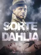 Sorte Dahlia