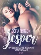 Jesper: Un segreto, tre incontri appassionati - Novella erotica af Sofia Fritzson