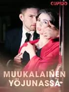 Muukalainen yöjunassa