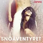 Snöäventyret