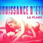 Jouissance d’été, Chapitre 2 : La Plage – Une nouvelle érotique