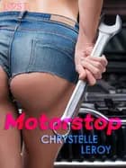 Motorstop – erotisk novelle
