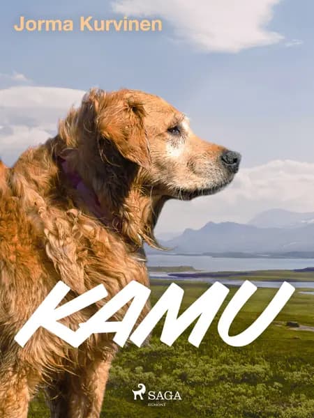 Kamu af Jorma Kurvinen
