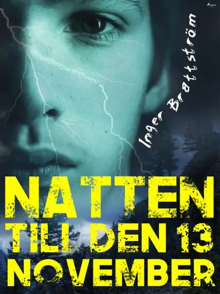Natten till den 13 november af Inger Brattström
