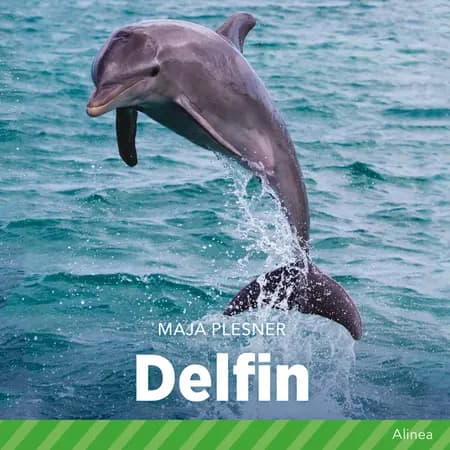 Delfin af Maja Plesner