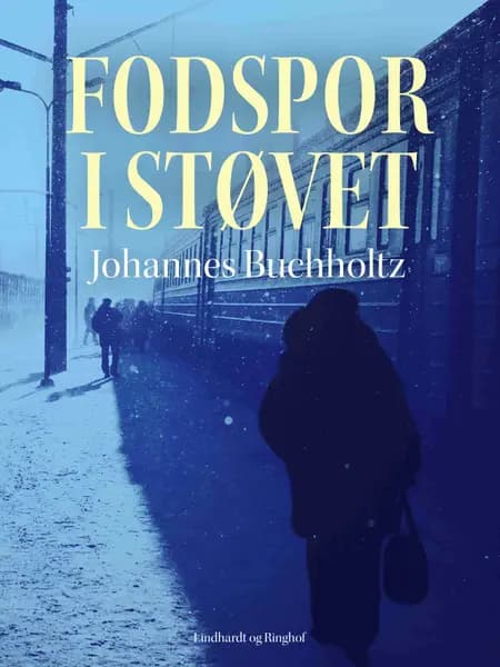 Fodspor i støvet af Johannes Buchholtz