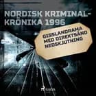 Gisslandrama med direktsänd nedskjutning