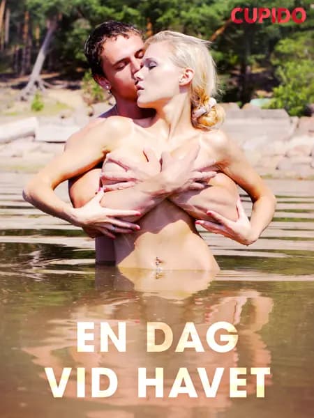 En dag vid havet af Cupido