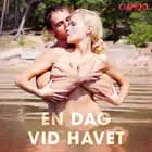 En dag vid havet af Cupido and Others