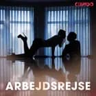 Arbejdsrejse