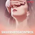 Sikkerhedskontrol