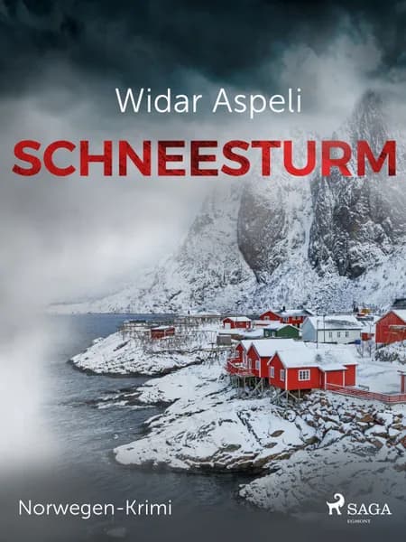 Schneesturm - Norwegen-Krimi af Widar Aspeli