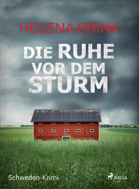 Die Ruhe vor dem Sturm af Helena Brink