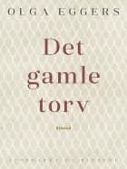 Det gamle torv. Roman