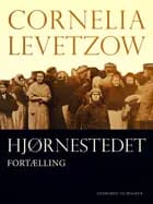 Hjørnestedet. Fortælling