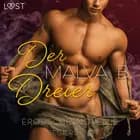 Begierde 5 - Der Dreier: Erotische Novelle af Malva B.
