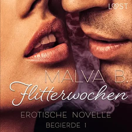 Begierde 1 - Flitterwochen: Erotische Novelle af Malva B
