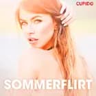 Sommerflirt – erotiske noveller