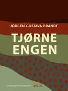 Tjørneengen