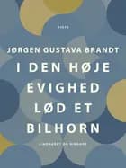 I den høje evighed lød et bilhorn