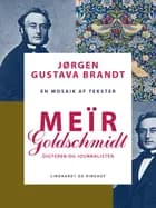 Meïr Goldschmidt. Digteren og journalisten