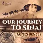Our Journey to Sinai