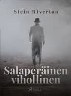 Salaperäinen vihollinen af Stein Riverton