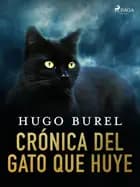 Crónica del gato que huye af Hugo Burel