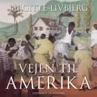 Vejen til Amerika af Birgitte Livbjerg