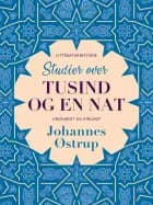 Studier over Tusind og en Nat